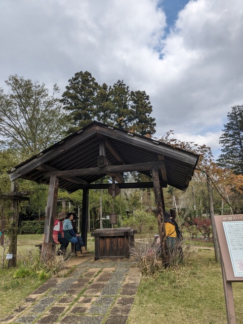 PXL_20240411_014505079