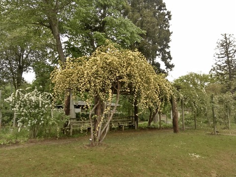 1713959287105_4_DSC_0266