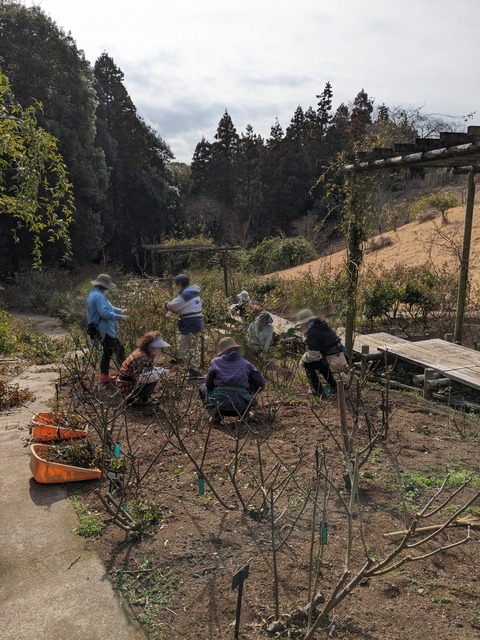 Point Blur_20240215_235205