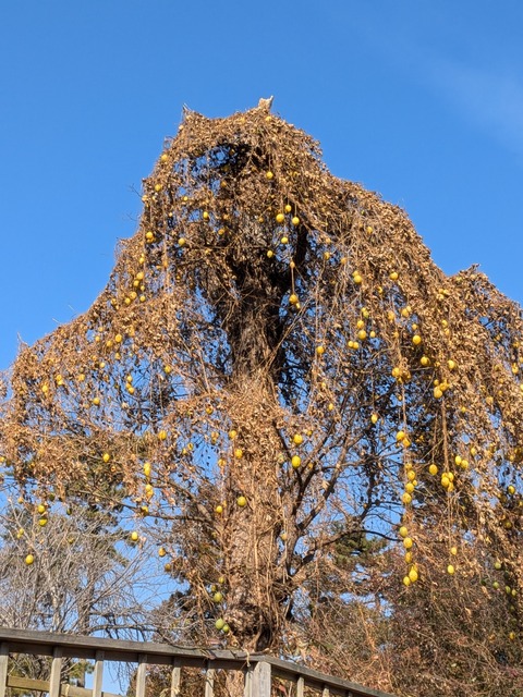 PXL_20250115_030406694