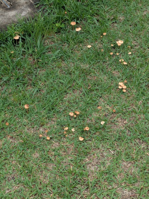PXL_20260702_042835901