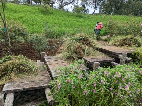 PXL_20230907_055231284