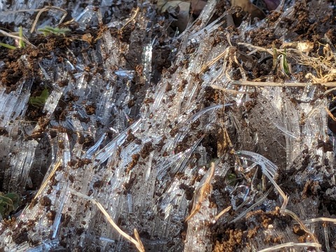 PXL_20240125_011540152