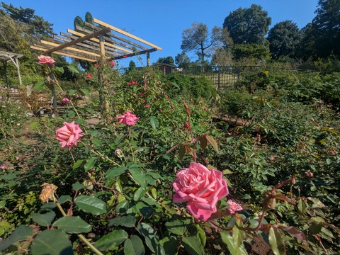 PXL_20251030_042004378