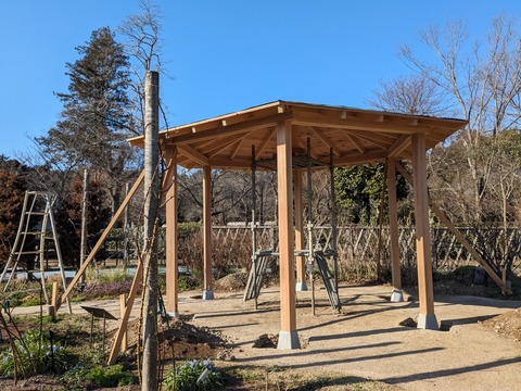 PXL_20240314_061724585