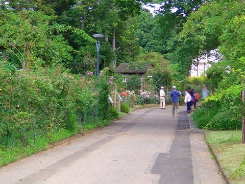 Point Blur_20210625_110303