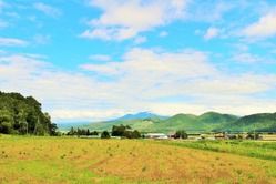 北海道の田舎住みだけどどう思う？