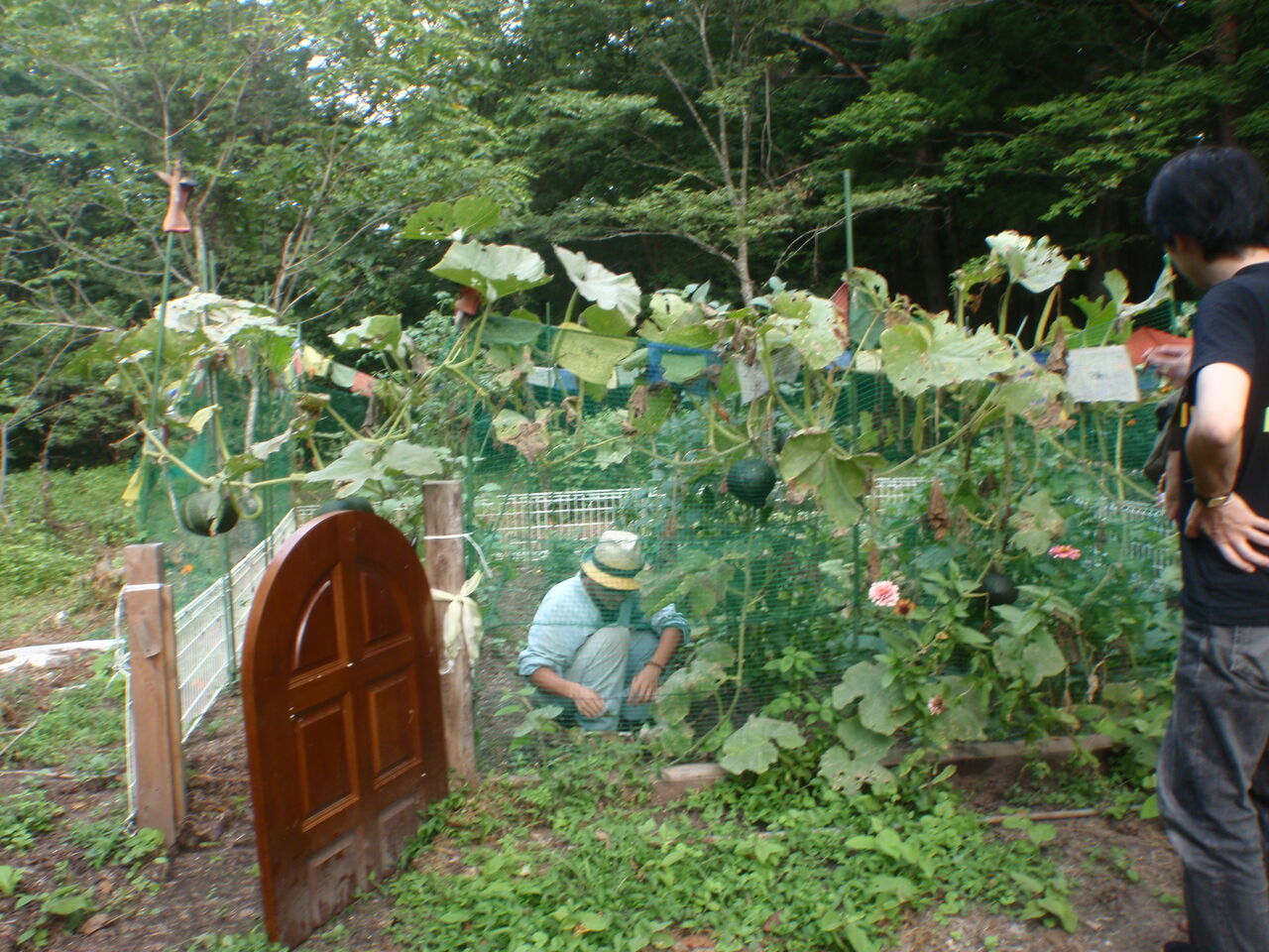獏原人村 満月祭 片付け 打ち上げ 草楽房の日常