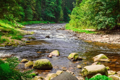 river-5967927_960_720