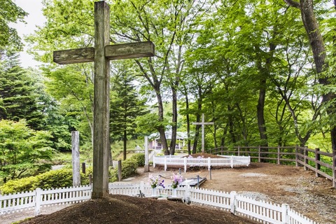 Hachinohei_June2019-3681-1024x683