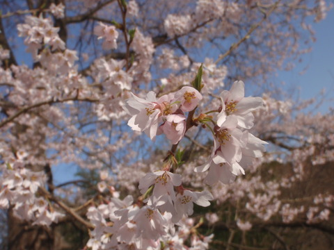 P3310080