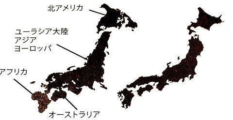rectangle_large_type_2_4e2341faac53ce437f9260592b81419c.jpgのコピー