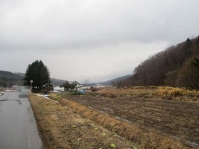 IMG_1084