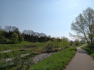 IMG20250508075950