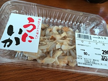 IMG20240511160718