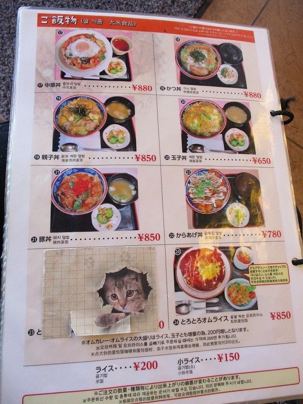 イメージ 6