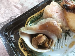 IMG20260525120109