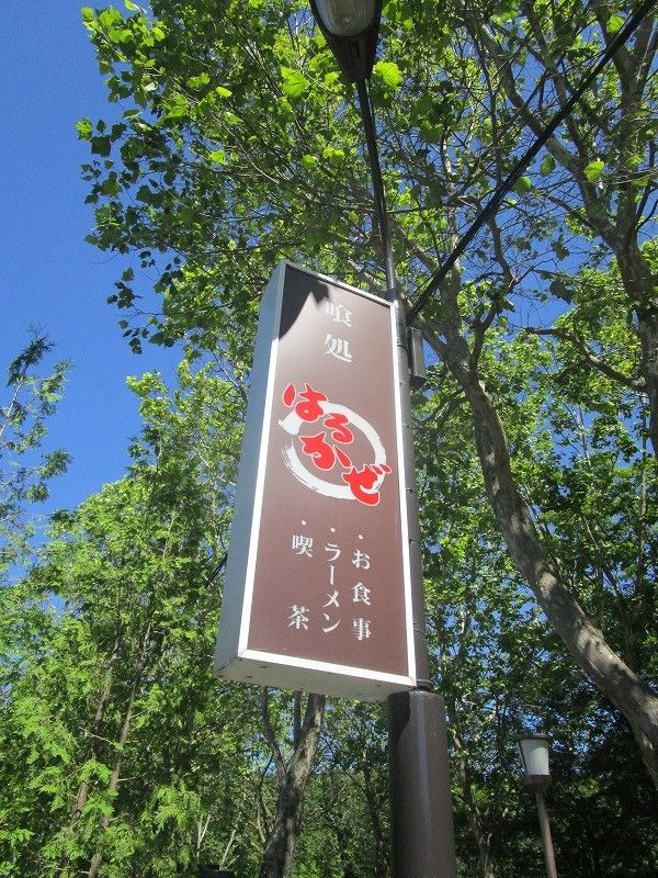 イメージ 13