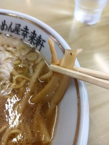 IMG20250321114712