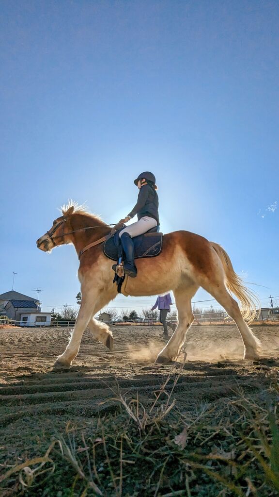 PXL_20240101_002805290~2