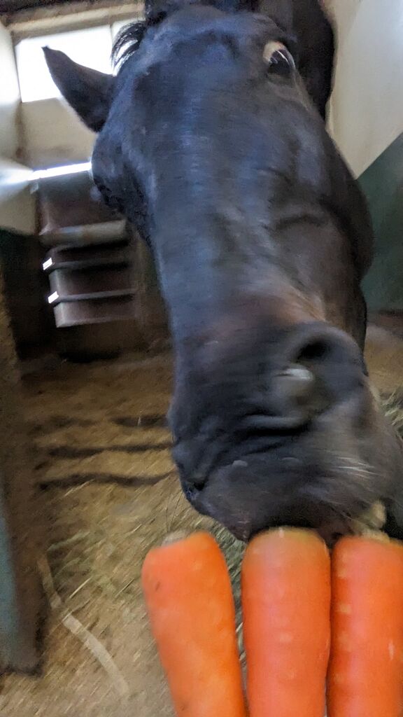 PXL_20240416_082513933