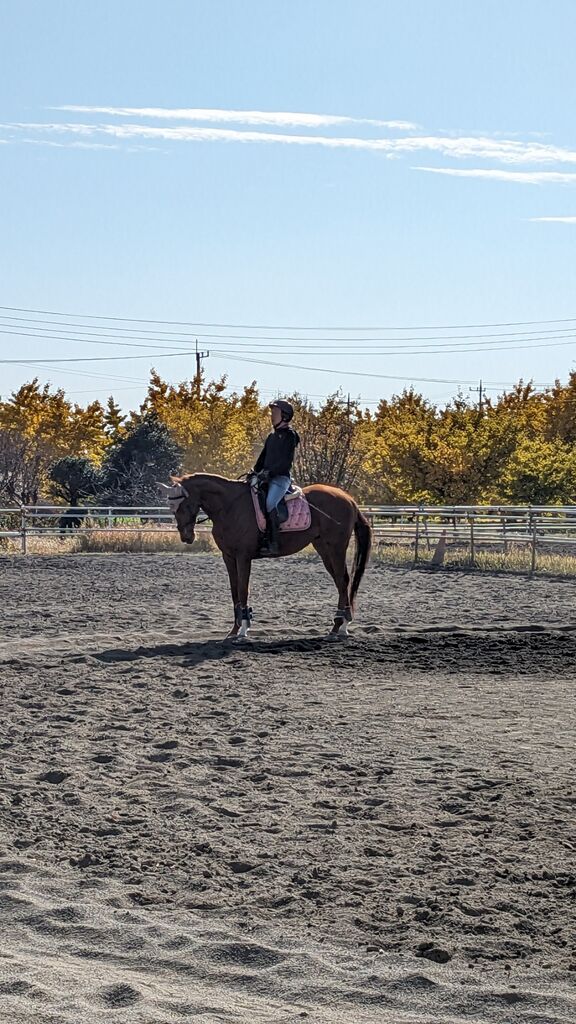 PXL_20231127_013603723