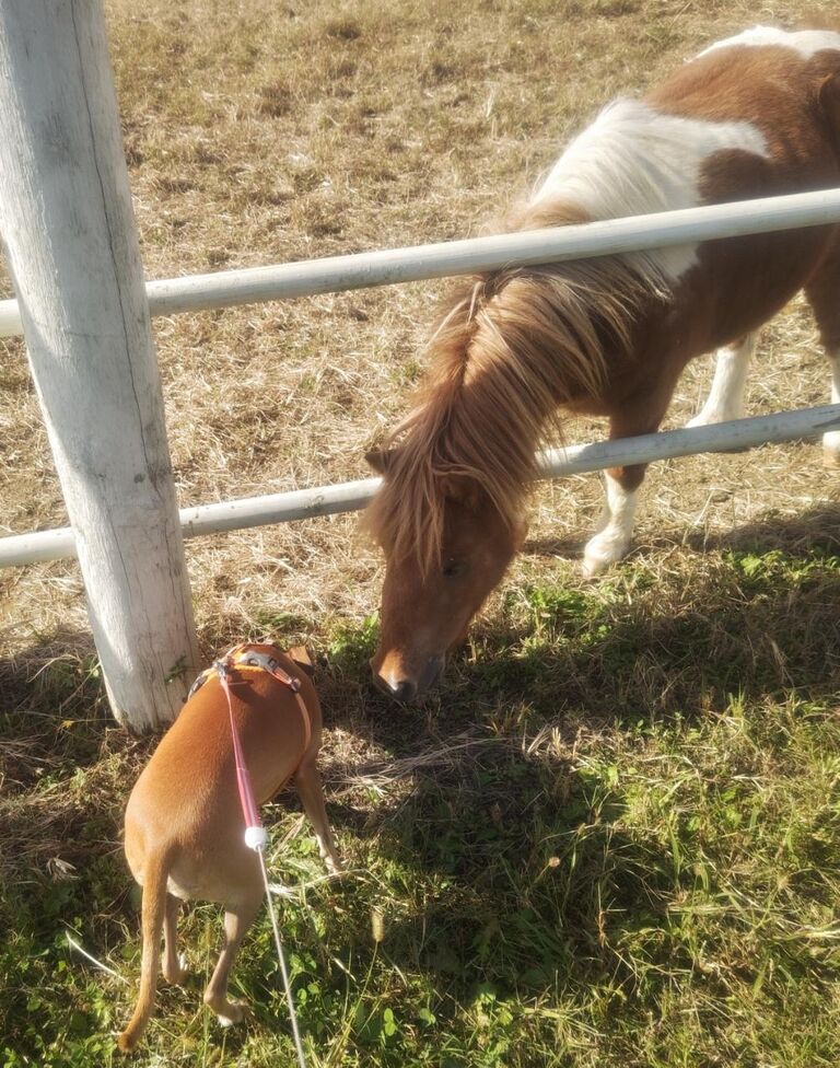 a049938b055c0bcdf7491d3870d6d753-231023090518976~2 (1)