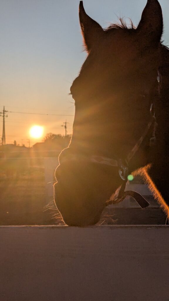 PXL_20241231_220801249