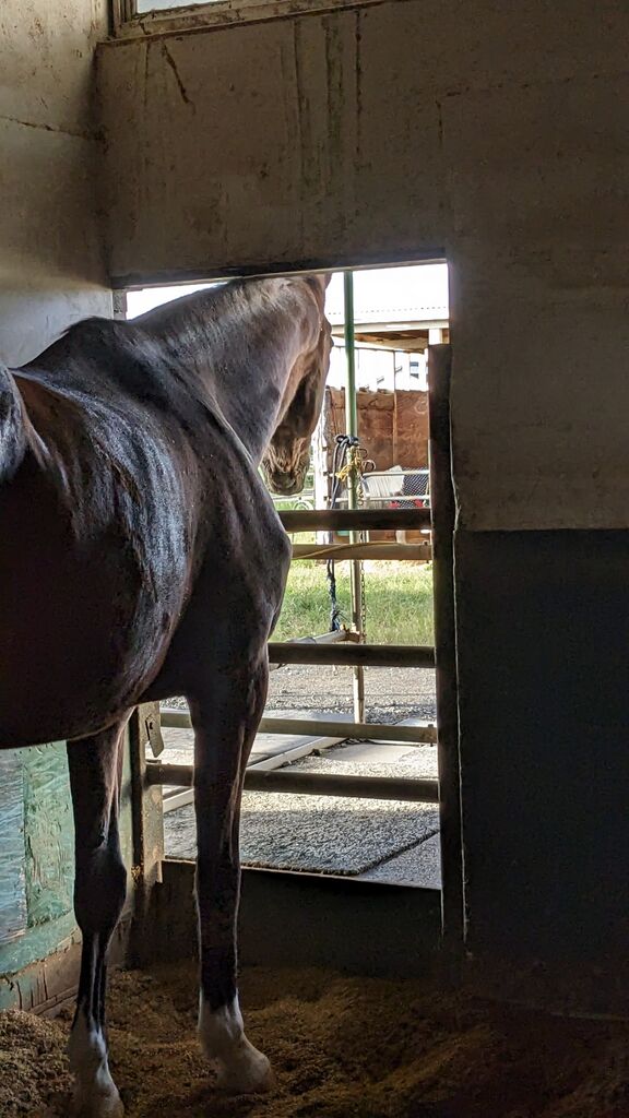 PXL_20231010_215302346