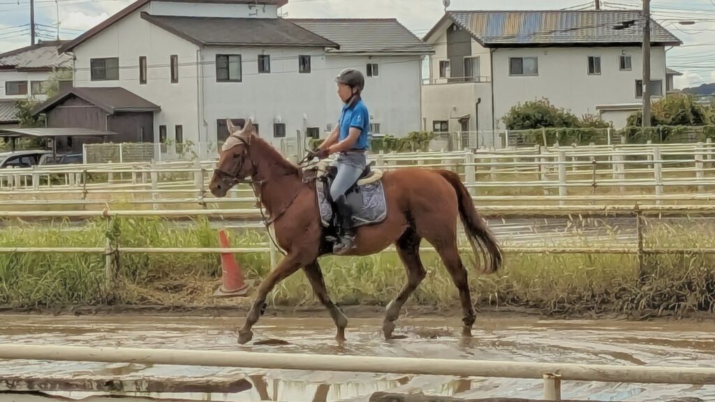 PXL_20231010_010639190~2