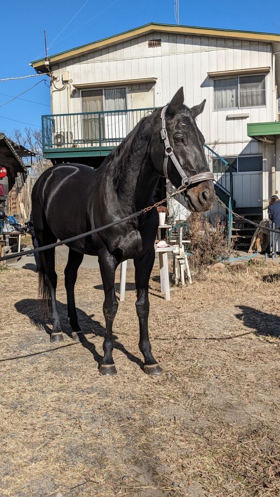 PXL_20240107_025939745