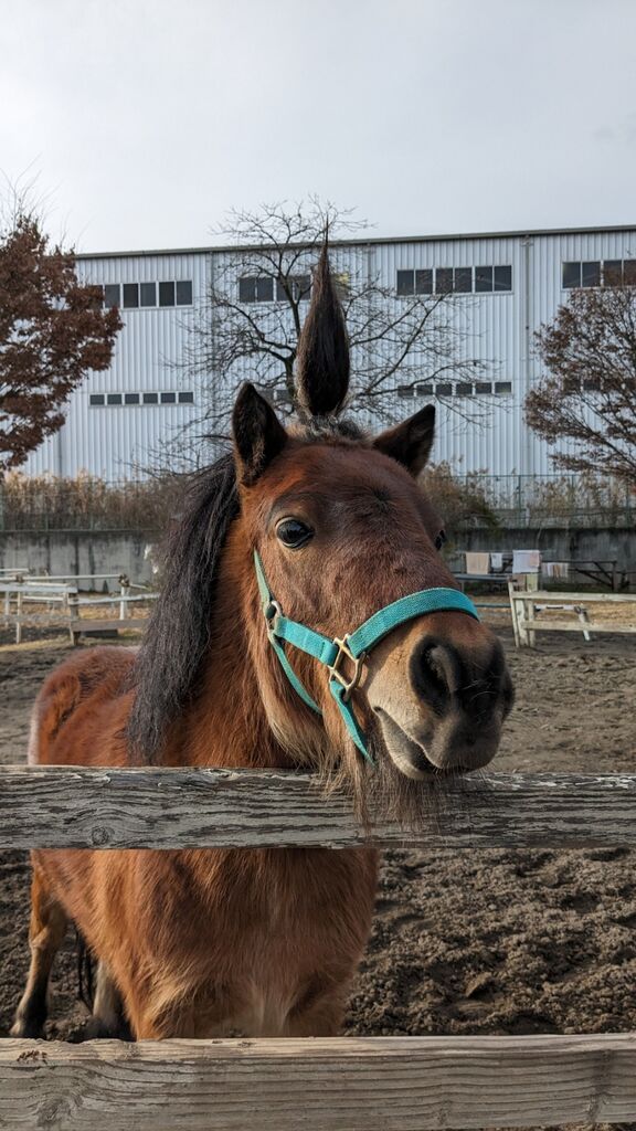 PXL_20231216_053518554