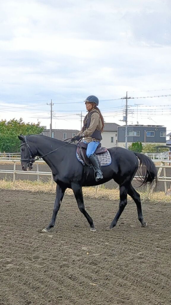 PXL_20231029_003223530_exported_4319