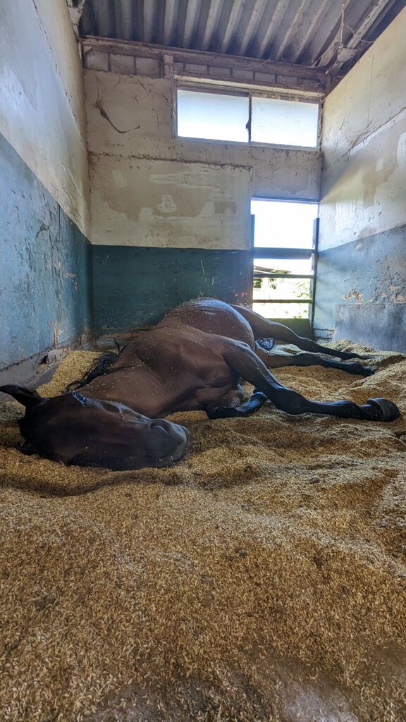 PXL_20231010_044827767