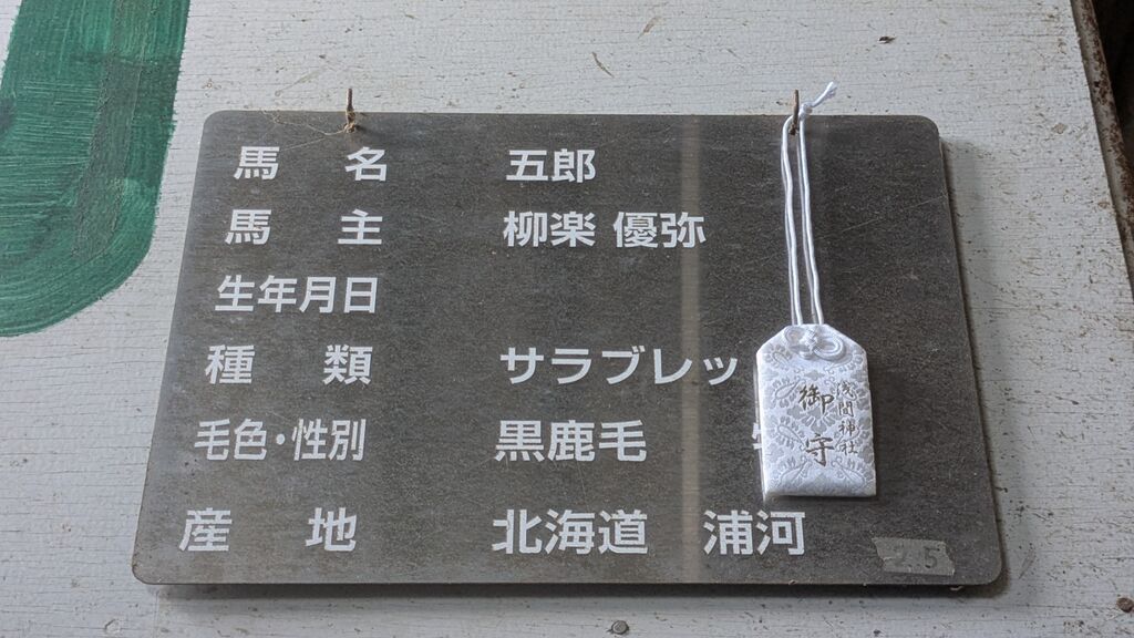 PXL_20250212_071456786