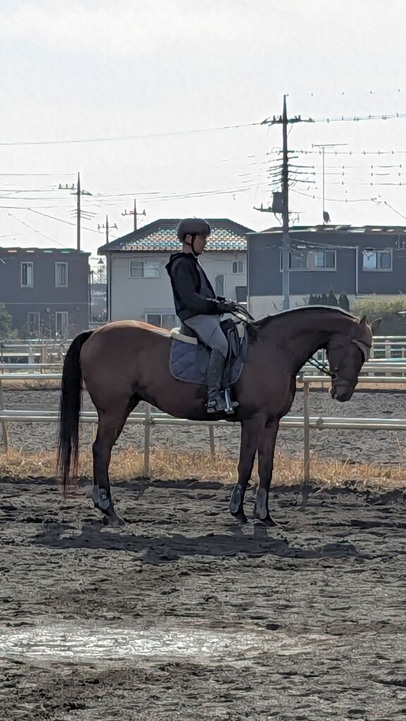 PXL_20231216_023148902~2