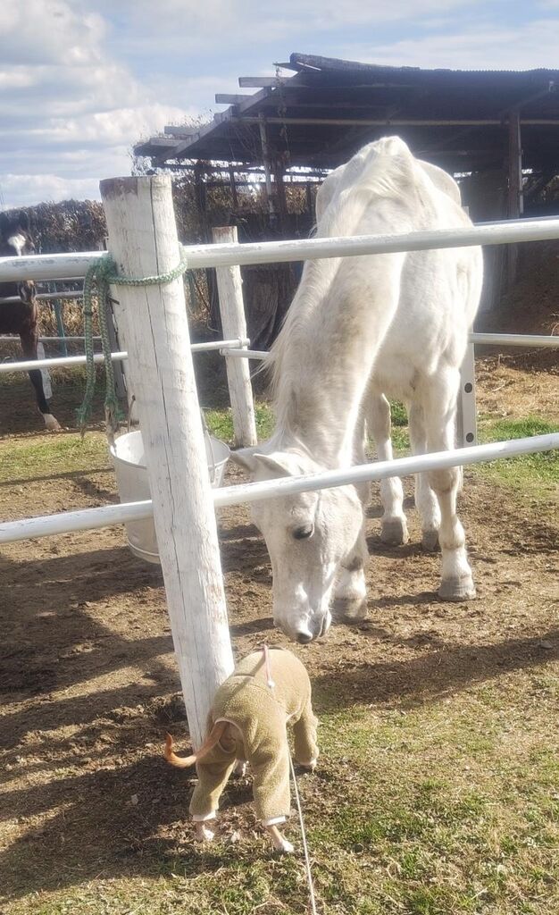 6eb18bccb1d447994500927351015e5b-231218121839495~2 (1)