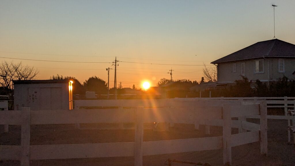 PXL_20241231_220131551