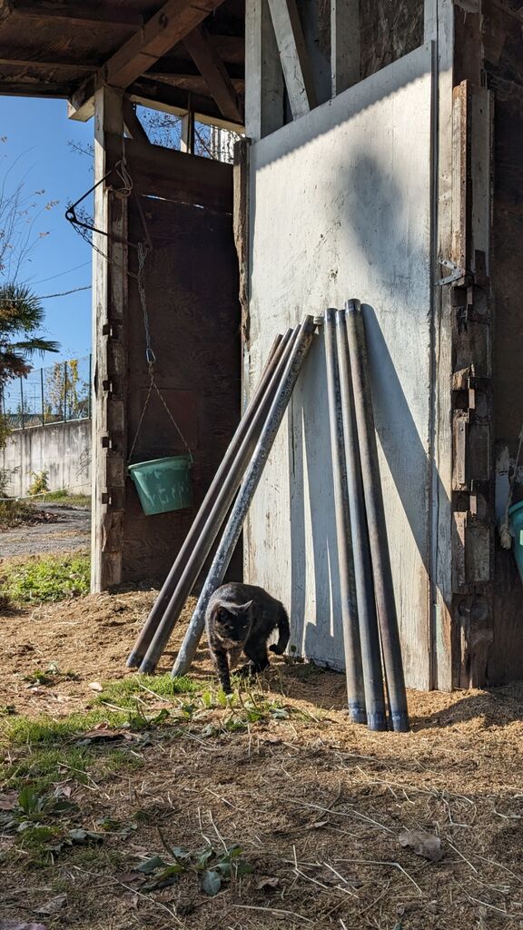 PXL_20231127_013210127