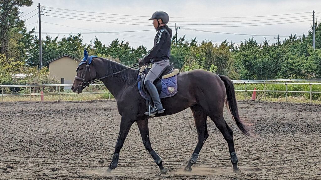 PXL_20231014_001440907~2