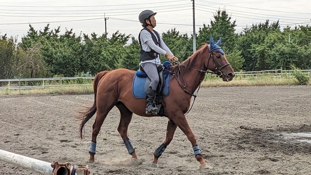 PXL_20231008_003505636~2