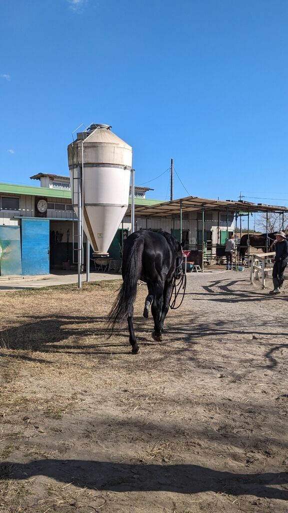 PXL_20240107_030837764