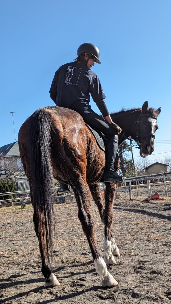 PXL_20240106_040237252