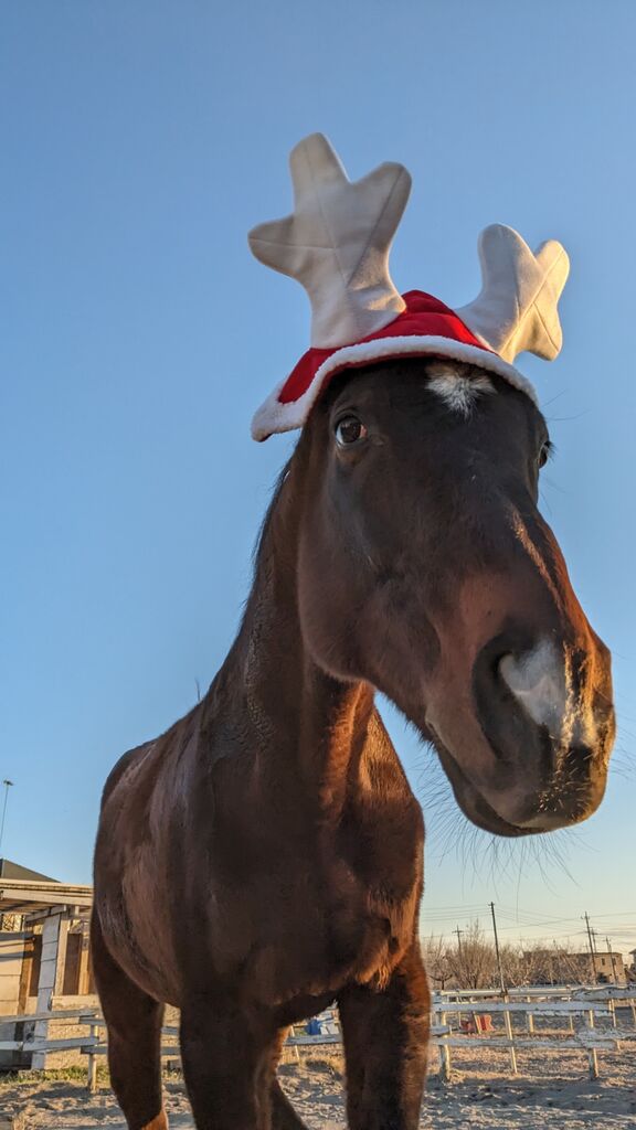 PXL_20231225_065223249