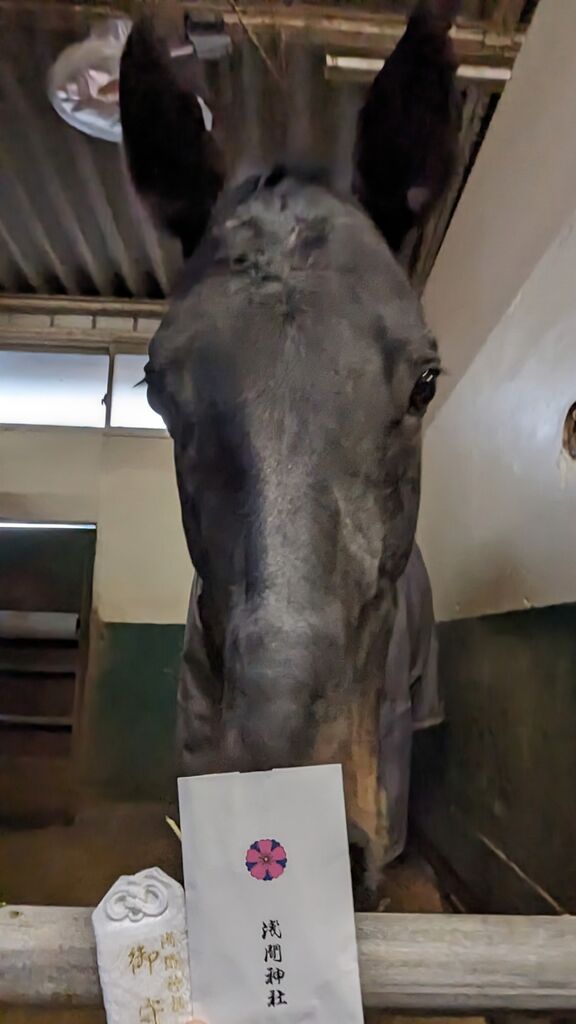 PXL_20240202_081246819~2