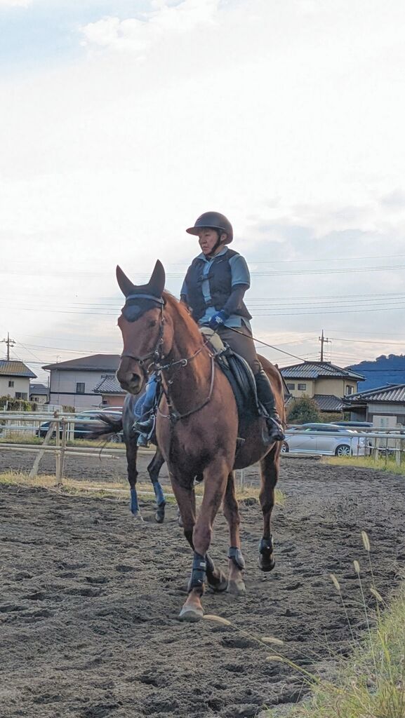 PXL_20231028_053646500~2