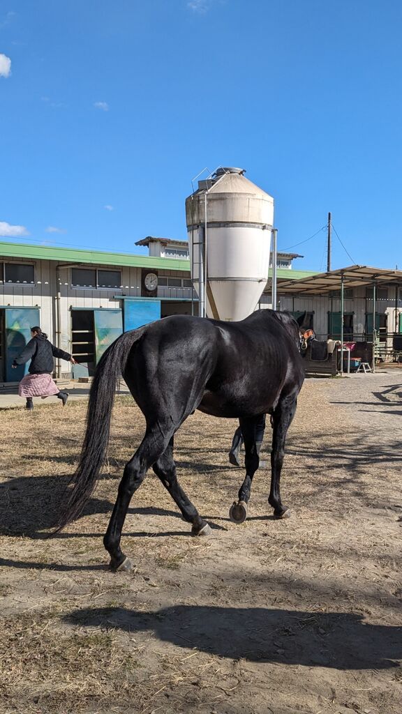 PXL_20240107_030835305