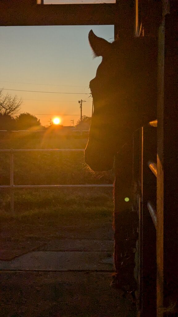 PXL_20241231_220306653