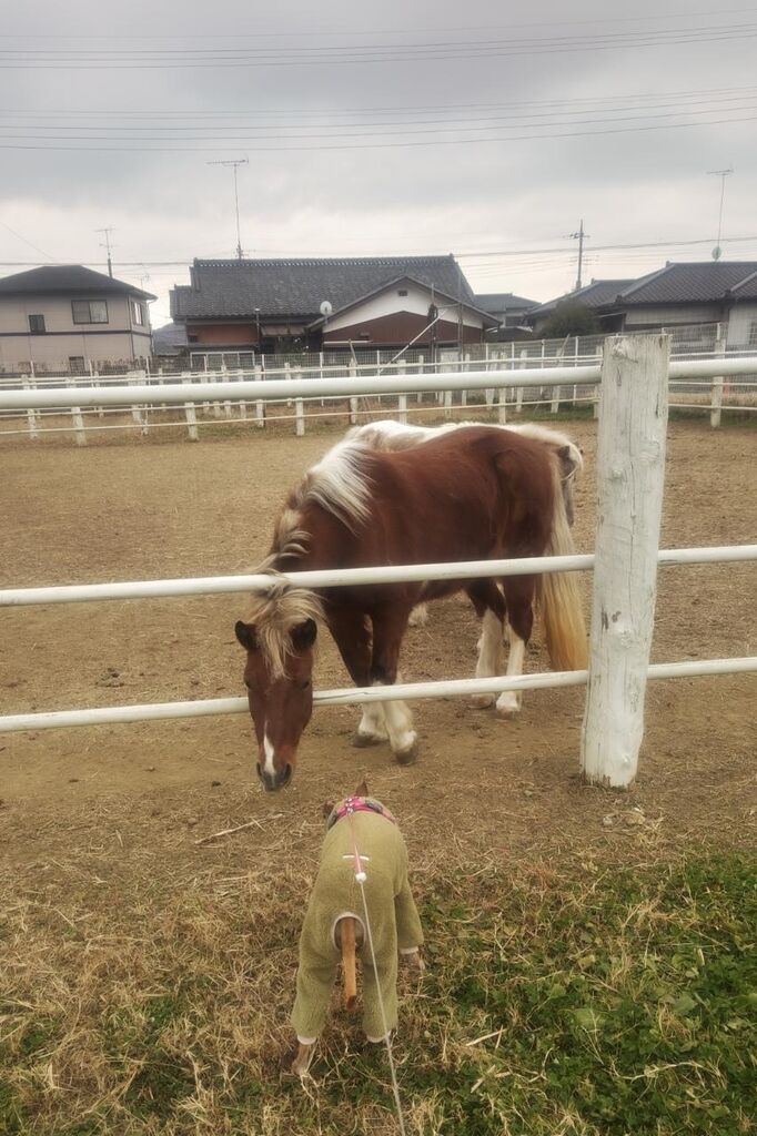 143dfc8f3cf053e5a510d3475492a4ac-231211123242784~2 (1)