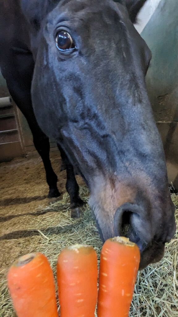 PXL_20240416_082457556